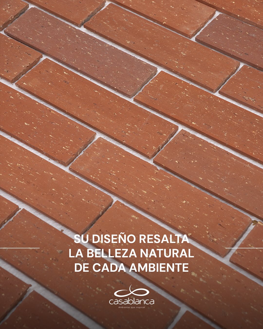 543706930_18509253067070636_6251565785029138850_n